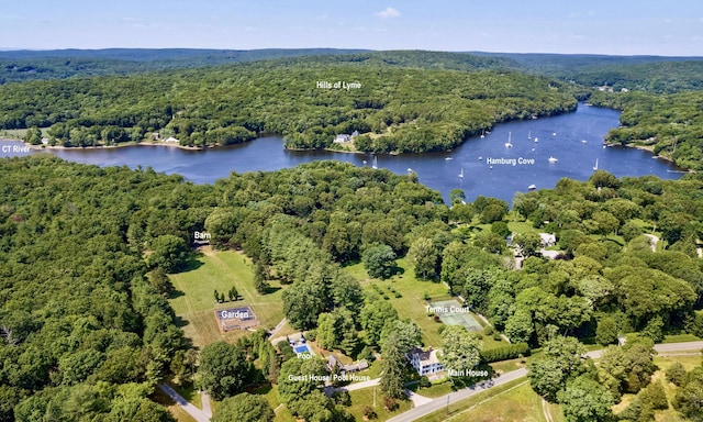 birds eye view of property with a water view and a wooded view