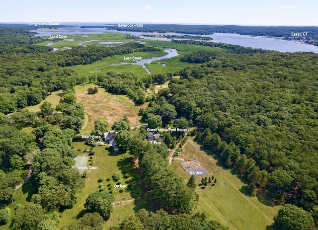 drone / aerial view featuring a forest view and a water view