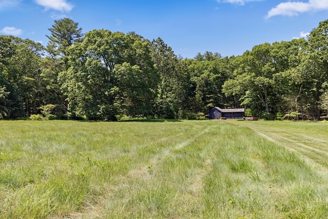 view of yard with a forest view and a rural view