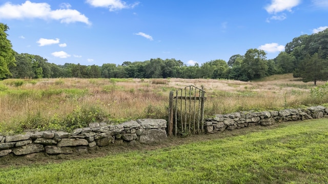 view of yard featuring a wooded view
