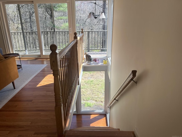 12 Fox Rd, Trumbull, CT 06611 - stairs with wood finished floors and healthy amount of natural light