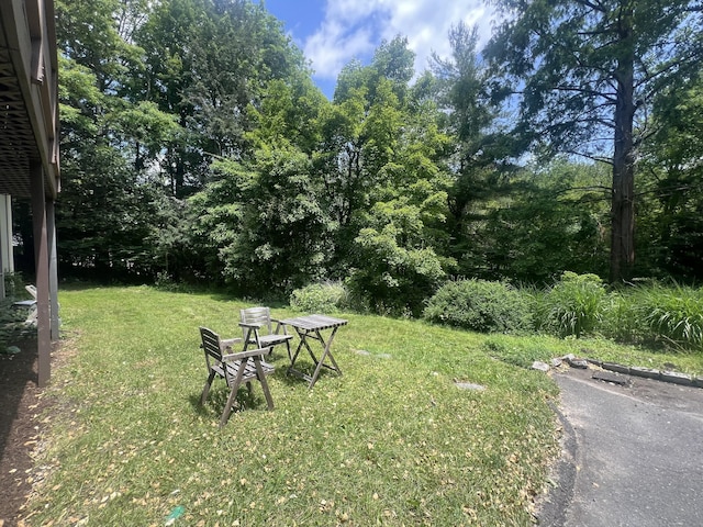 12 Fox Rd, Trumbull, CT 06611 - view of green lawn
