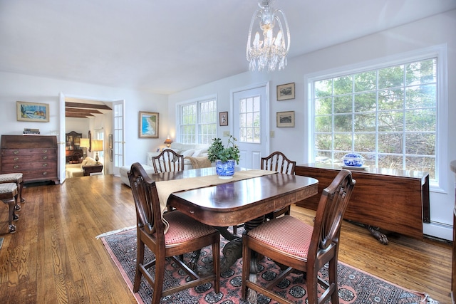 dining room featuring an inviting chandelier, a wealth of natural light, and wood finished floors