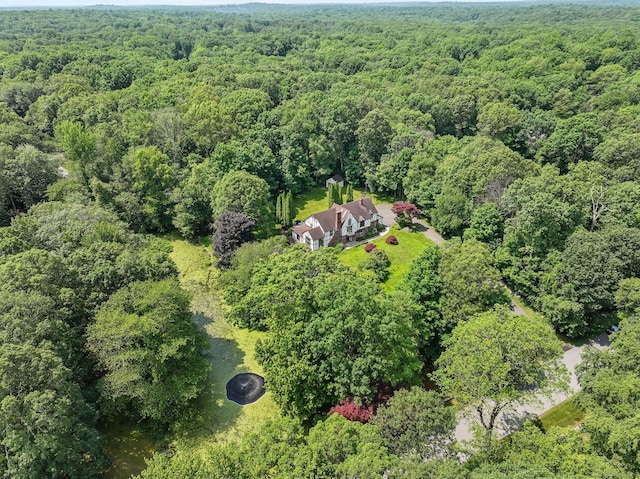 5 Tall Oaks Rd, Wilton, CT 06897 - aerial view of property's location featuring a forest