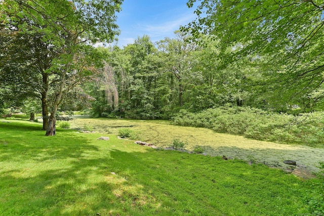 5 Tall Oaks Rd, Wilton, CT 06897 - view of green lawn