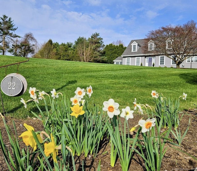 view of grassy yard