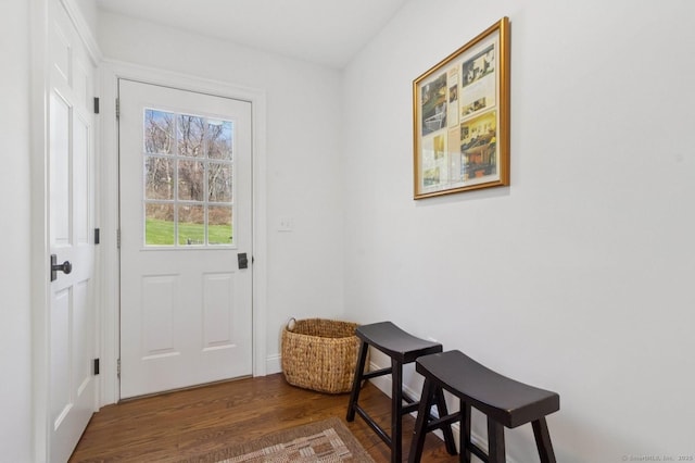 entryway featuring wood finished floors