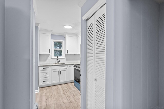 interior space featuring a sink, a baseboard radiator, light wood-style floors, and crown molding