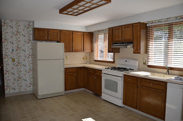 kitchen featuring under cabinet range hood, white appliances, a sink, brown cabinets, and light countertops