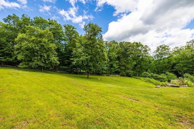40 Old Bridge Rd, Brookfield, CT 06804 - view of yard with a view of trees