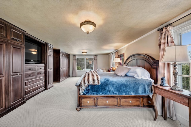 77 Eastfield Rd, Waterbury, CT 06708 - bedroom with ornamental molding, a textured ceiling, and light colored carpet