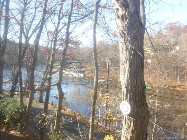 197 Lee Farm Dr, Southbury, CT 06488 - water view