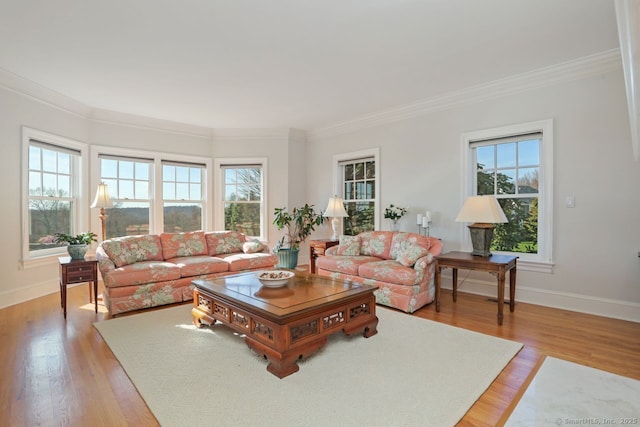 7 Long Meadow Ln, Redding, CT 06896 - living area featuring a healthy amount of sunlight, baseboards, ornamental molding, and light wood finished floors