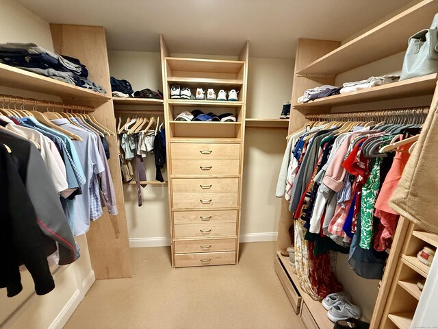 walk in closet featuring carpet