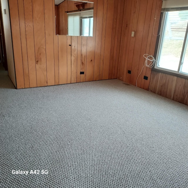 39 Old Wood Rd, Mansfield, CT 06268 - carpeted empty room with wood walls