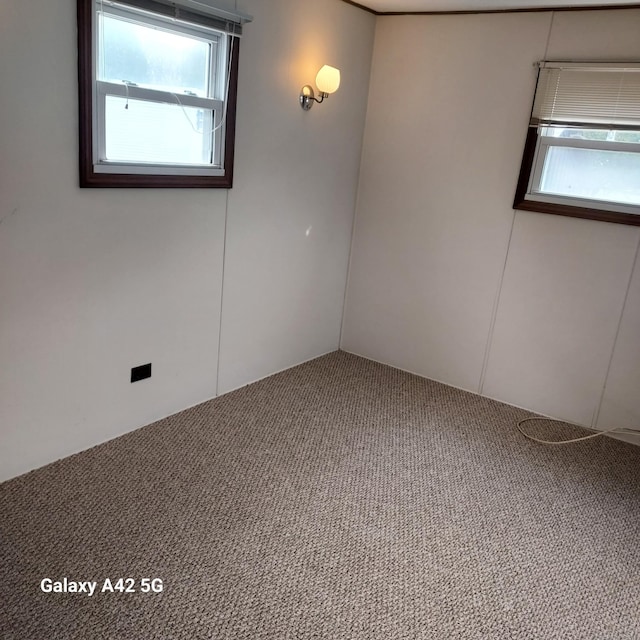 39 Old Wood Rd, Mansfield, CT 06268 - unfurnished room featuring carpet floors and a healthy amount of sunlight