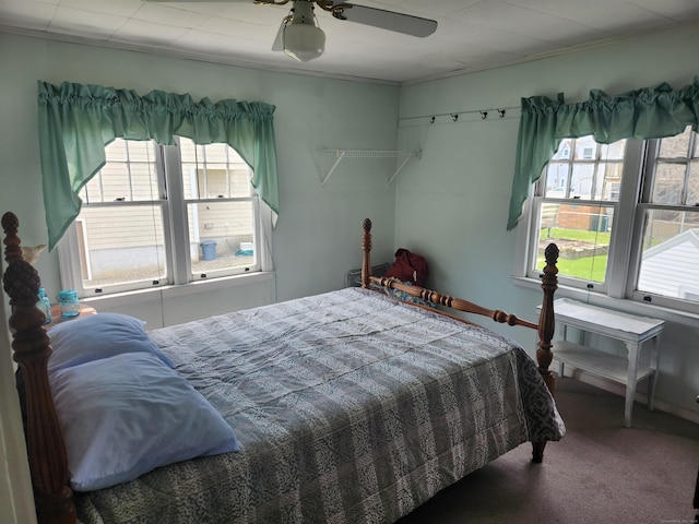 bedroom featuring crown molding, carpet floors, multiple windows, and a ceiling fan