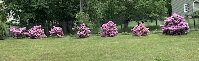 view of yard with fence