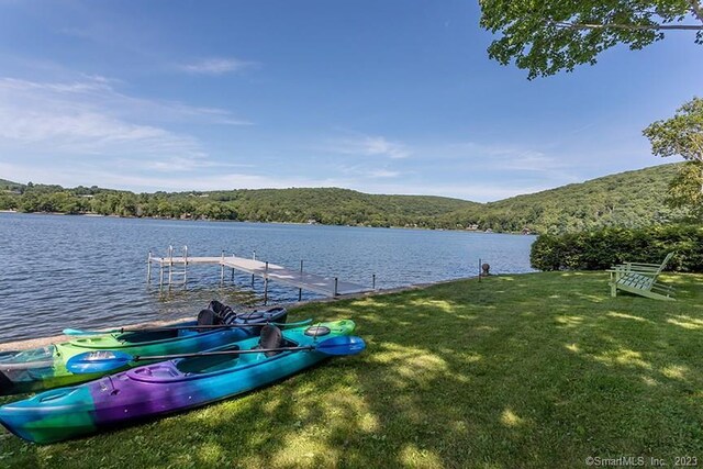 119 W Shore Rd, Washington, CT 06777 - photo 4