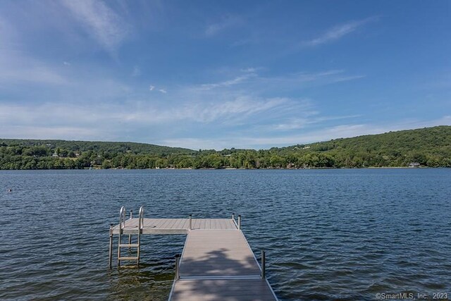 119 W Shore Rd, Washington, CT 06777 - photo 3