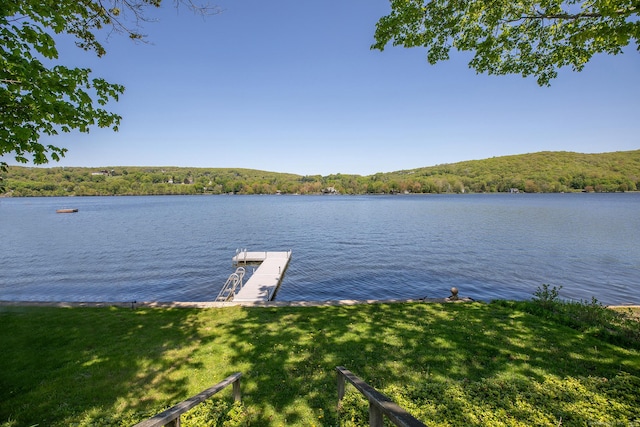 119 W Shore Rd, Washington, CT 06777 - photo 2