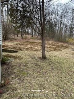 46 Spring St, Ansonia, CT 06401 - photo 6