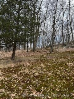 46 Spring St, Ansonia, CT 06401 - photo 7