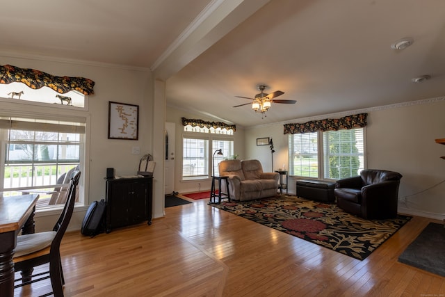 living room with crown molding, ceiling fan, a wealth of natural light, and light wood finished floors