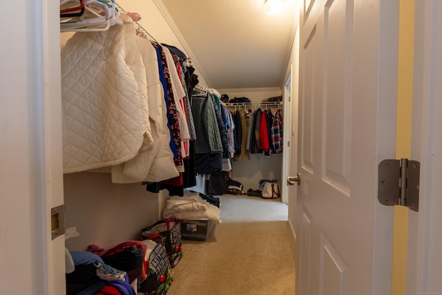 20 Cliff Rd, Ledyard, CT 06339 - spacious closet featuring carpet floors