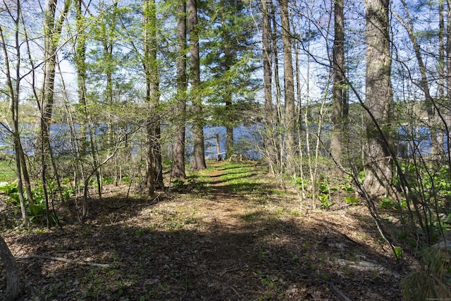 56 Laurel Hill Dr, Woodstock, CT 06282 - view of undeveloped land