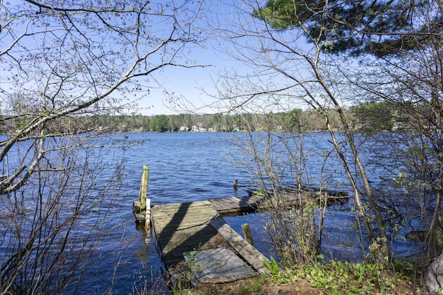 56 Laurel Hill Dr, Woodstock, CT 06282 - dock featuring a water view and a view of trees