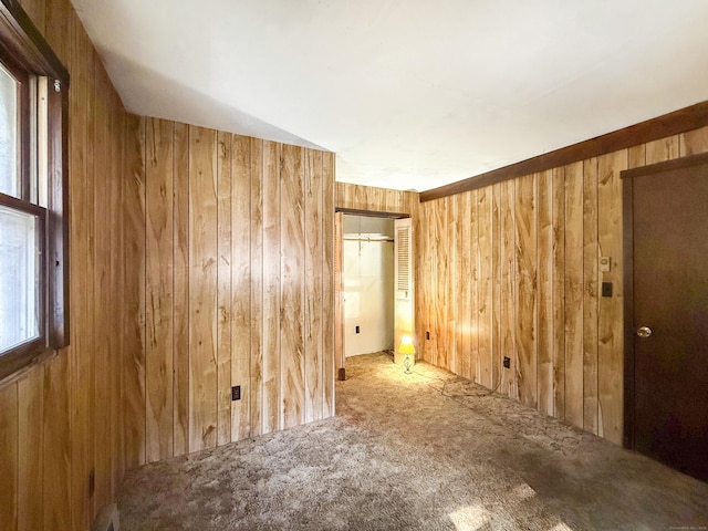 56 Laurel Hill Dr, Woodstock, CT 06282 - spare room with wooden walls and carpet flooring