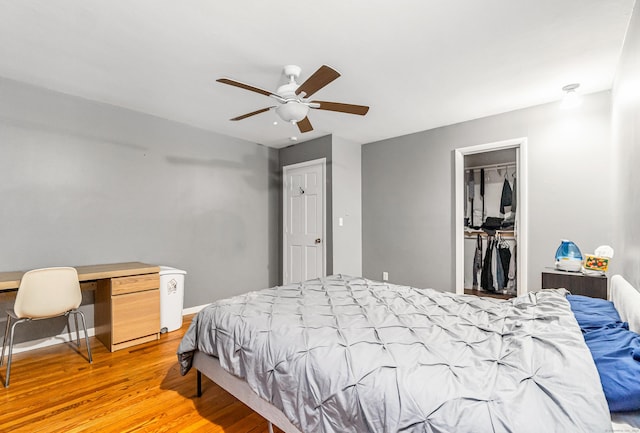 bedroom with light wood-style flooring, a spacious closet, a closet, and a ceiling fan