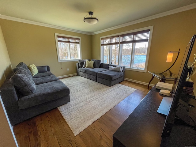 living room featuring a wealth of natural light, wood finished floors, and baseboards