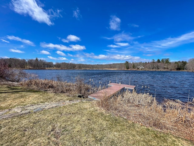 water view featuring a dock
