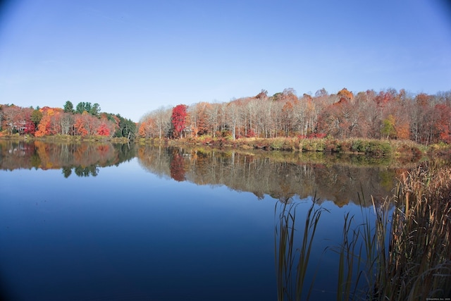 water view featuring a forest view