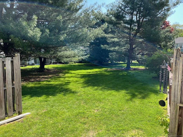 view of yard
