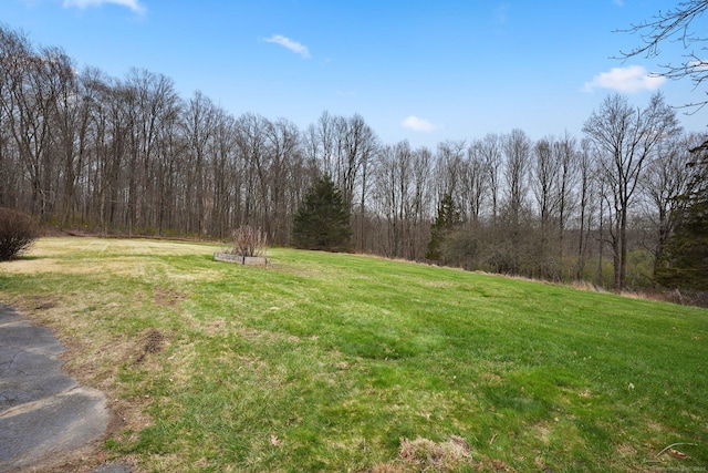 1069 Black Rock Tpke, Easton, CT 06612 - view of yard with a view of trees