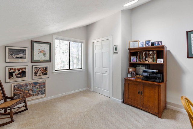 interior space featuring baseboards and lofted ceiling