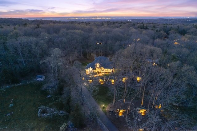 aerial view at dusk with a forest view