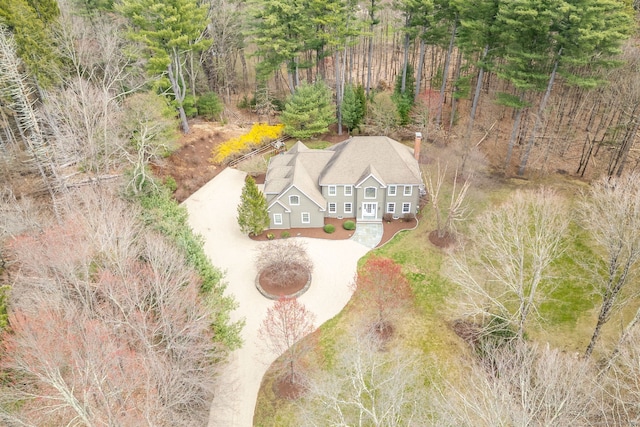 bird's eye view