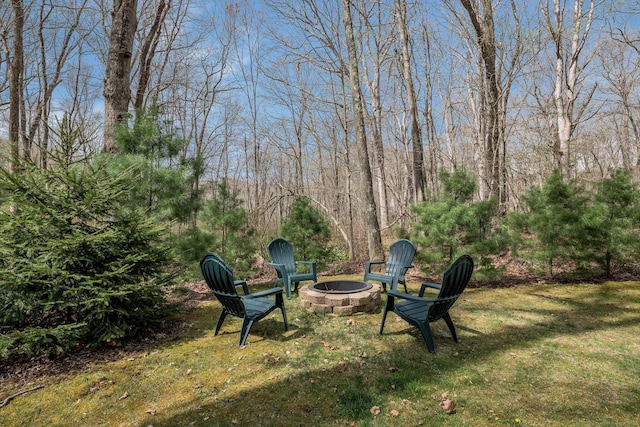 view of yard with an outdoor fire pit