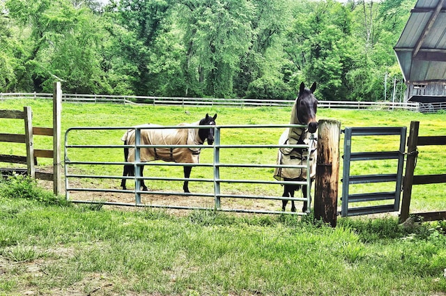 12 Wells Rd, New Milford, CT 06776 - horse barn featuring a view of countryside and a wooded view
