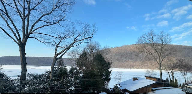 9 Lake Point Dr, New Milford, CT 06776 - photo 4