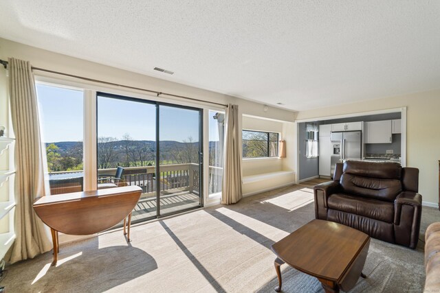 231 Heritage Vlg Unit C, Southbury, CT 06488 - carpeted living area with a textured ceiling and a mountain view
