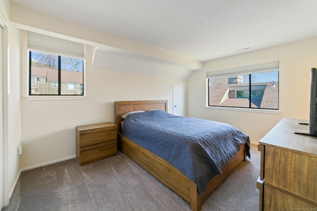 231 Heritage Vlg Unit C, Southbury, CT 06488 - bedroom with carpet and vaulted ceiling