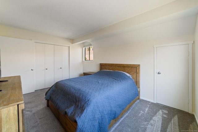 231 Heritage Vlg Unit C, Southbury, CT 06488 - bedroom featuring carpet floors and a closet