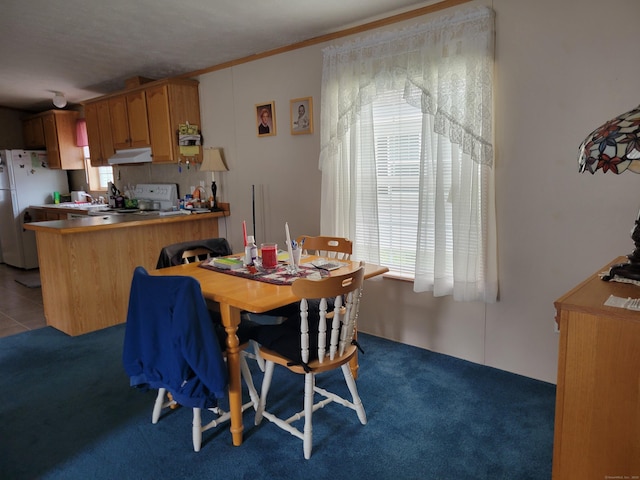 15 Circle Dr, Stonington, CT 06378 - dining room featuring carpet floors