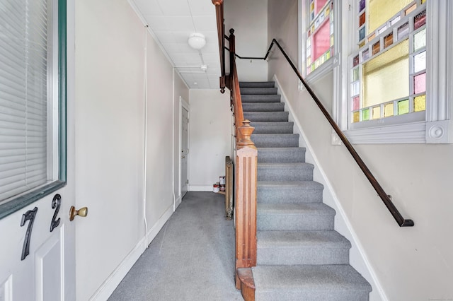 172 Prospect Ave, Shelton, CT 06484 - stairs featuring carpet and baseboards