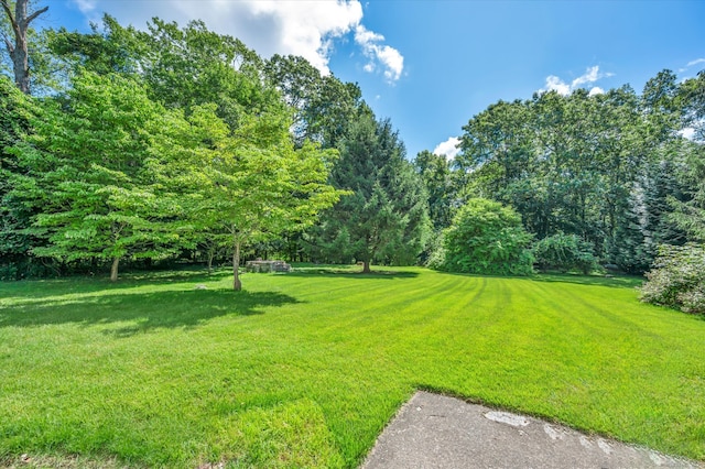 78 Avery Hill Rd, Ledyard, CT 06339 - photo 11